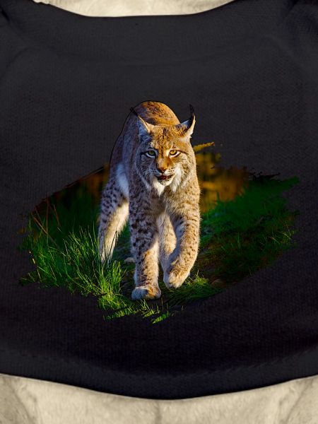Lynx