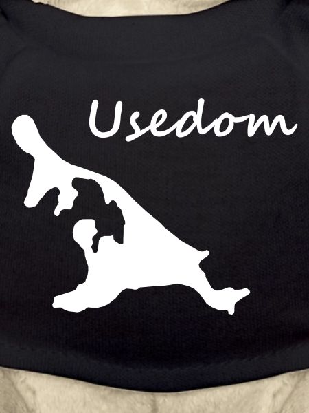 Usedom