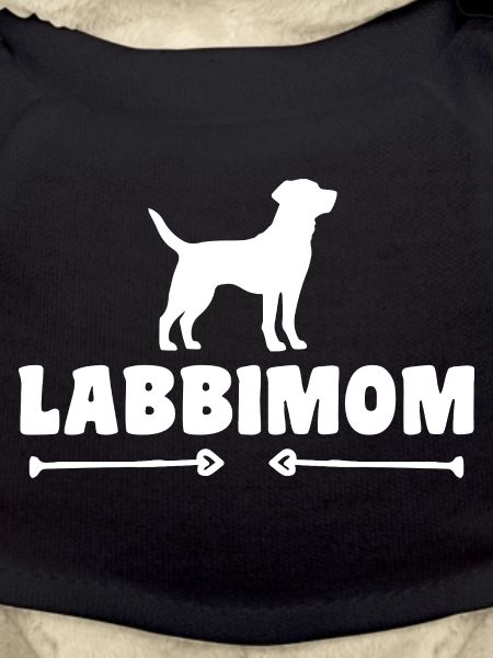 Labrador