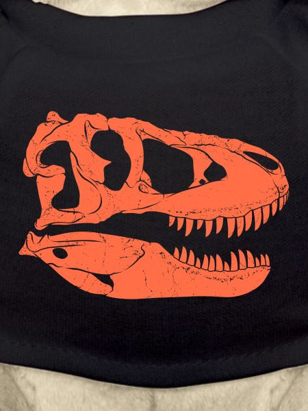 Tarbosaurus Fossil Skull