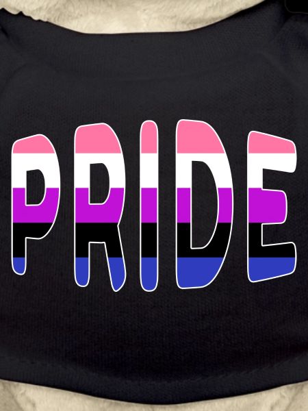 Pride logo Genderfluid