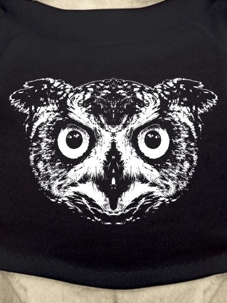 Owl / Eagle Owl / Owl
