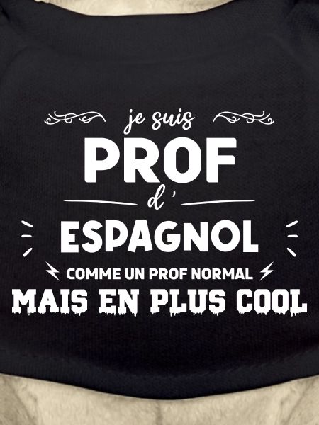 Définition Enseignant Espagnol