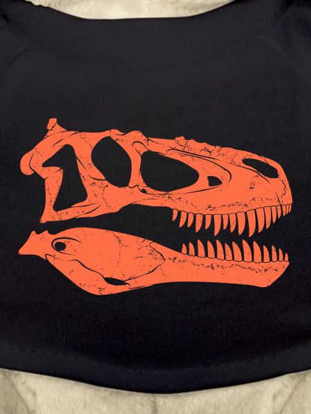 Daspletosaurus fossil skull