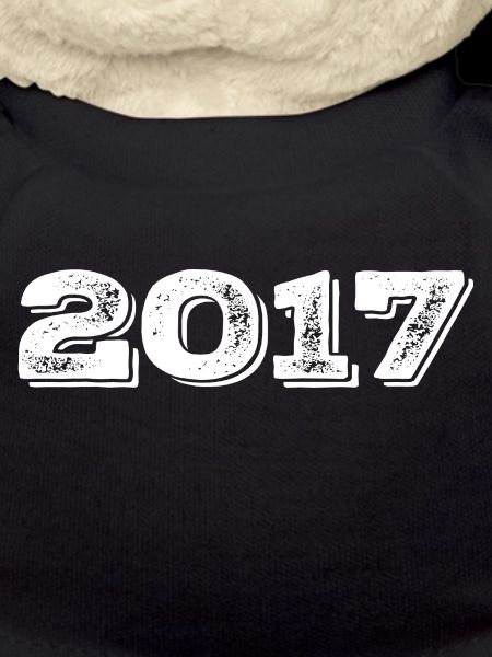 Birthday Gift 2017 - 2017