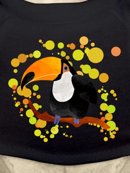 Toucan