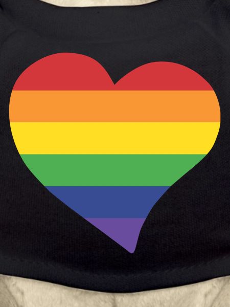 Rainbow heart