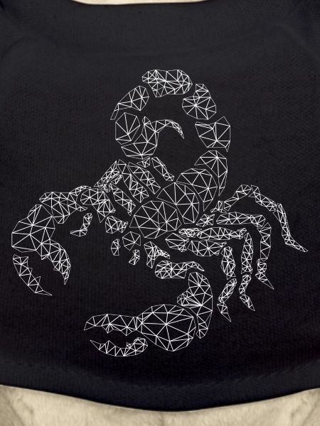 Scorpion