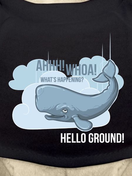 Hello Ground!
