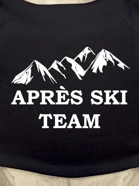 Apres Ski Team