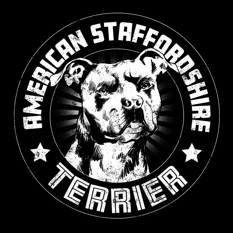 American Staffordshire Terrier
