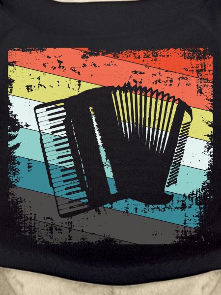 Accordéon Harmonica