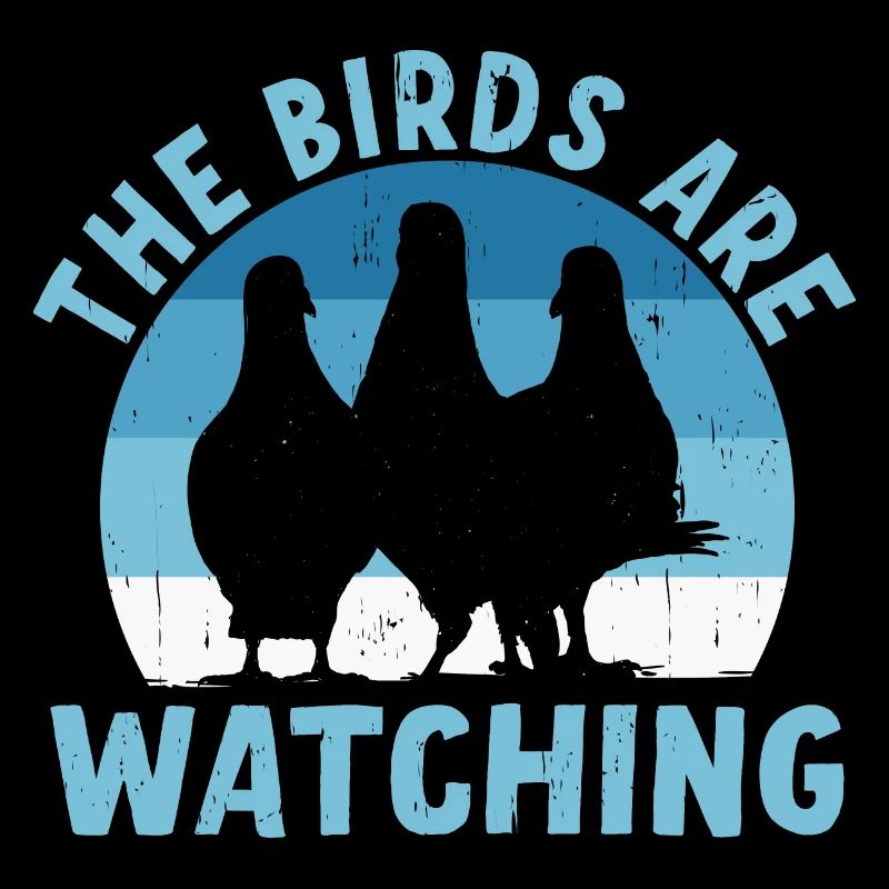 Les oiseaux observent