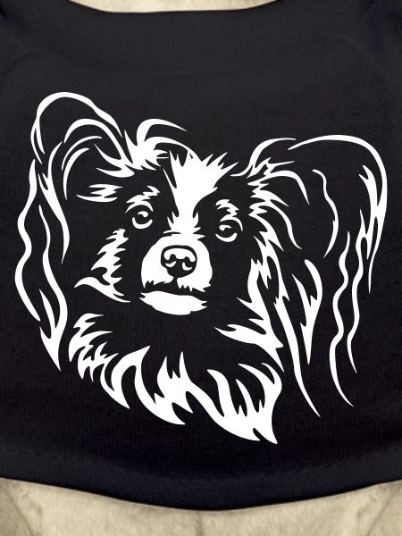 Papillon Head "Black Edition"