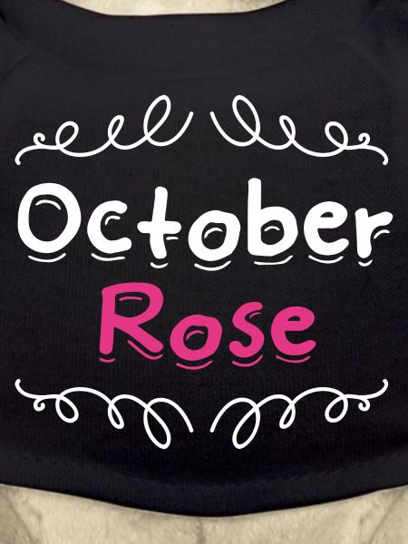 breast cancer / pink October