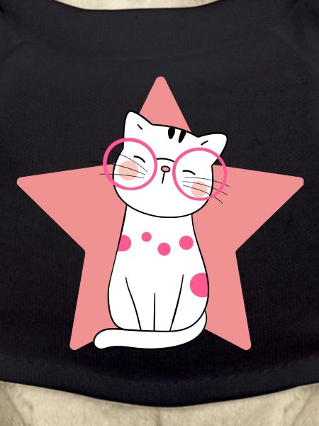 chat, chat mignon, chat domestique