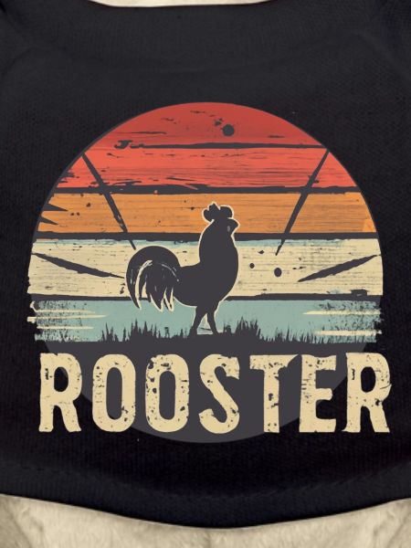 Rooster