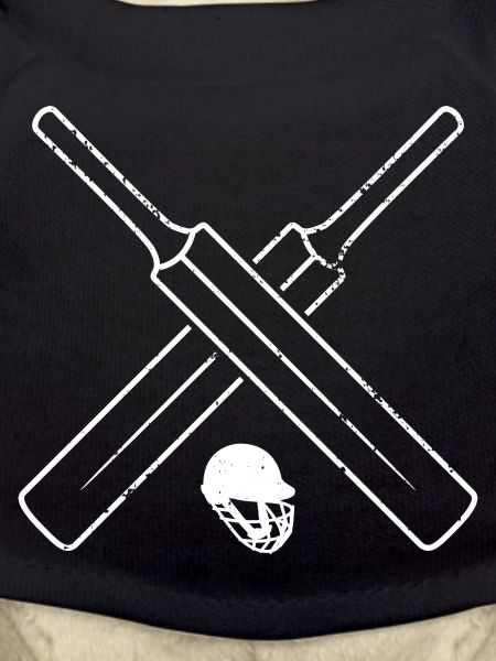 Cricket bat and ball