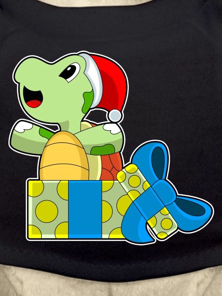 Turtle Christmas Packages