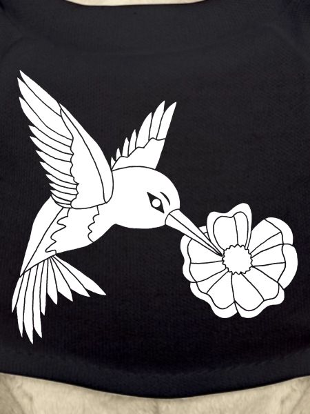 Oiseau butineur blanc