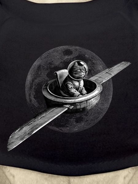 True Moon Love – Flying Cat