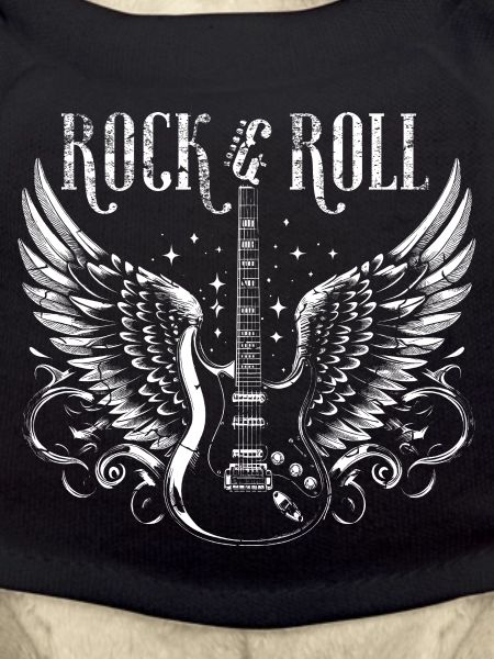 Rock & Roll Guitar