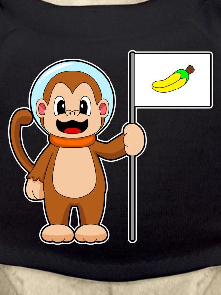 Monkey Astronaut Space