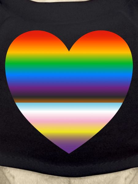Inclusive pride heart