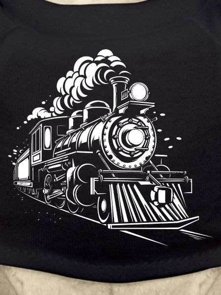 Steam locomotive