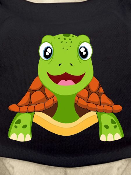 Turtle Turtles