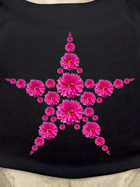 Dahlias Star