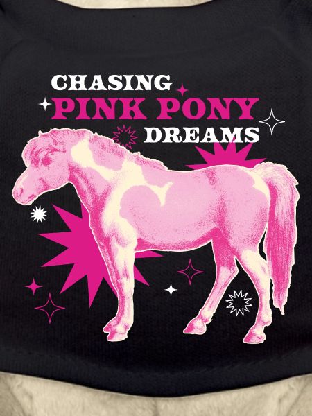 Pink Pony Dreams – Magic Ride