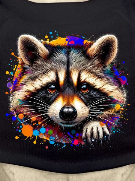 Raccoon