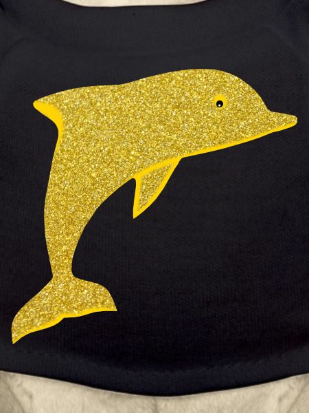 cute dolphin
