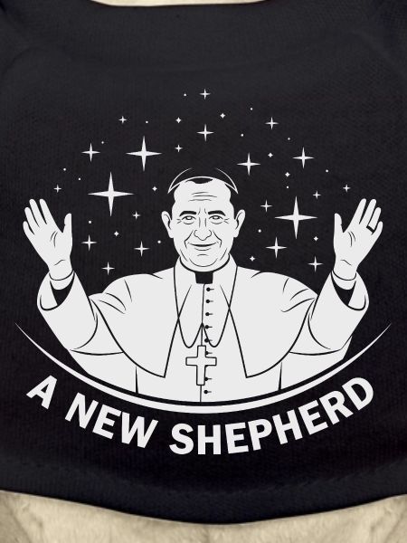A New Shepherd