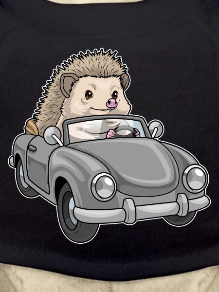 Igel Auto