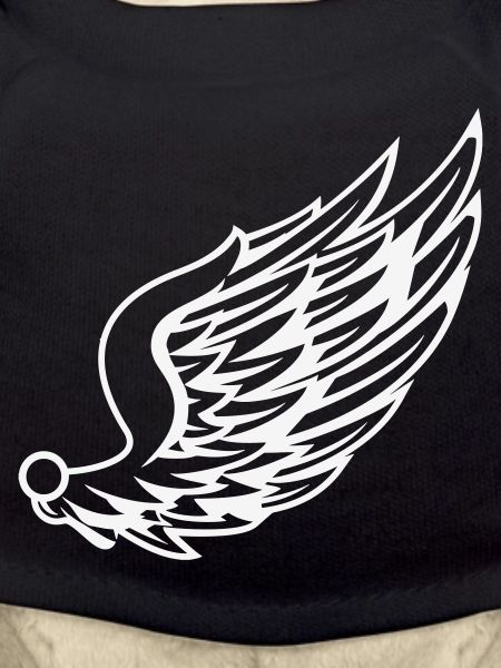 Wings with dynamic feather drawing