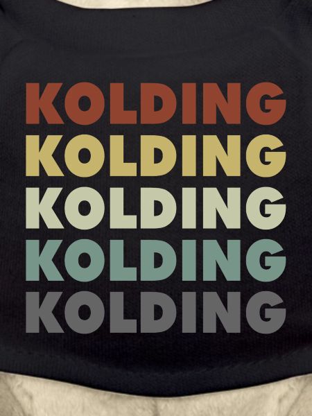 Kolding - Denmark - Denmark - Scandinavia
