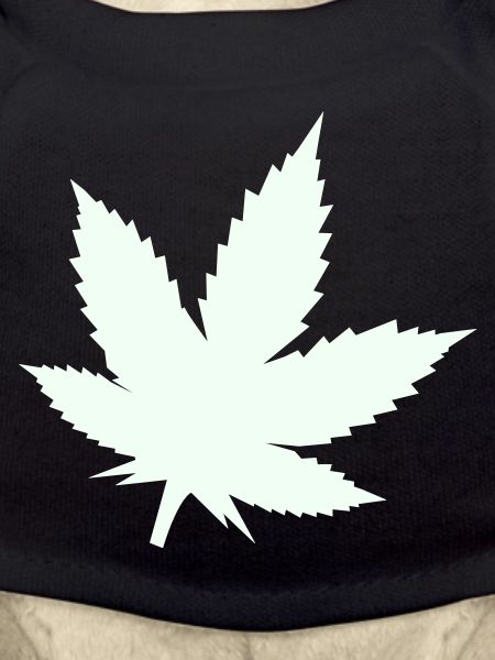 Cannabis Blatt Silhouette Mint