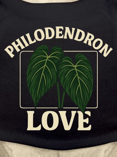 Philodendron Love