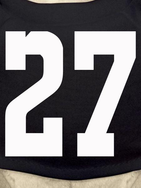 Numerals 27 Contrast Design