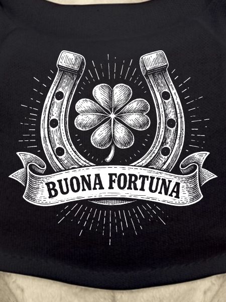 Buona fortuna