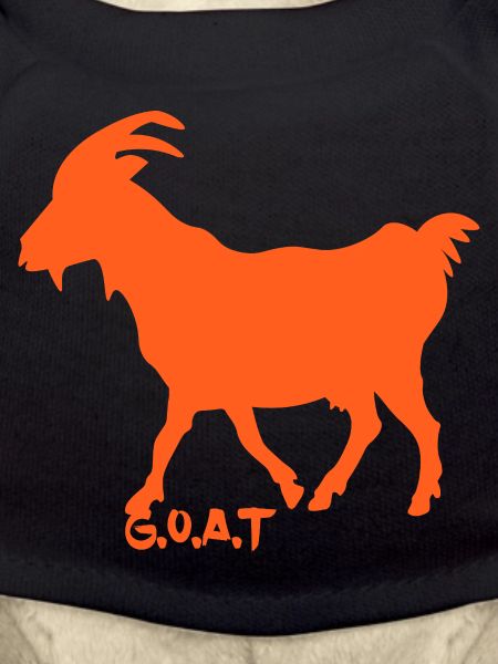 Goat G.O.A.T. orange
