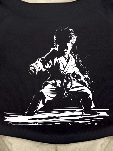 Boys Karate Drawing