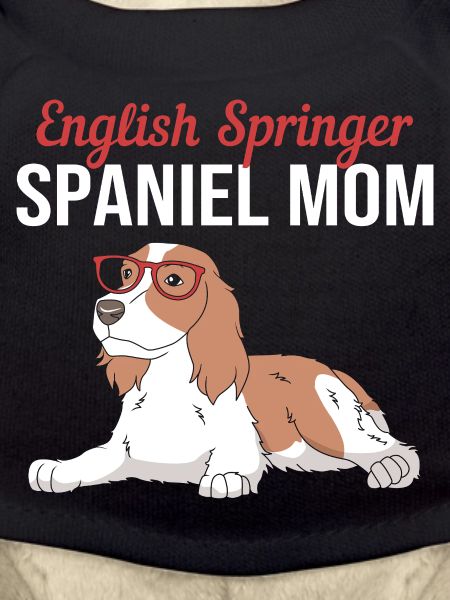Springer Spaniel Dog