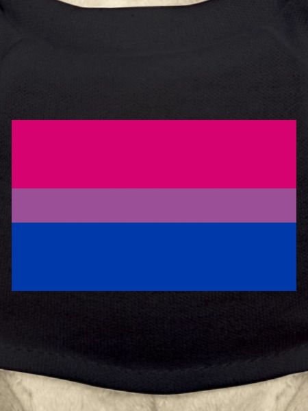 Drapeau bisexuel
