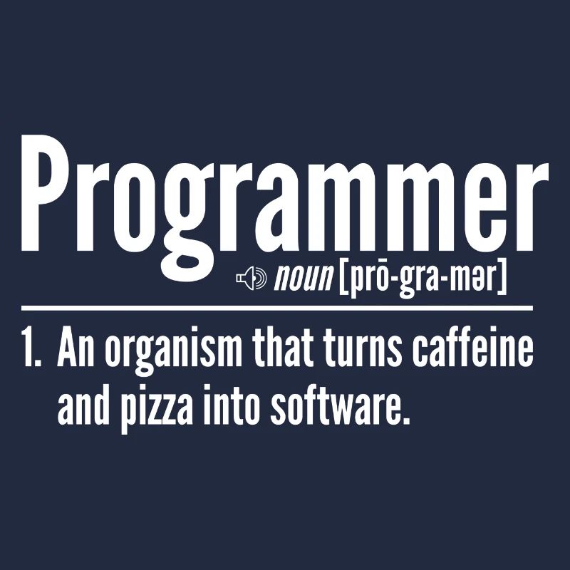 Programmeur