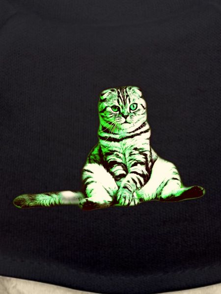 Cool green cat