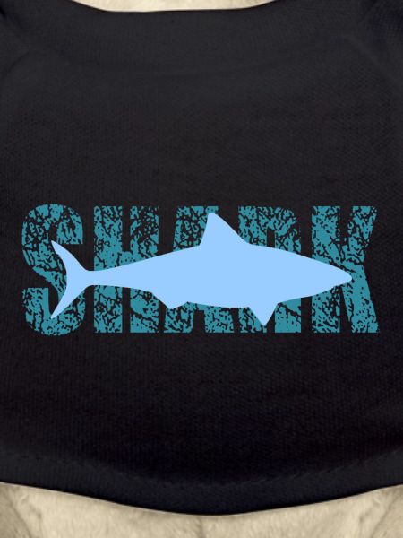 shark
