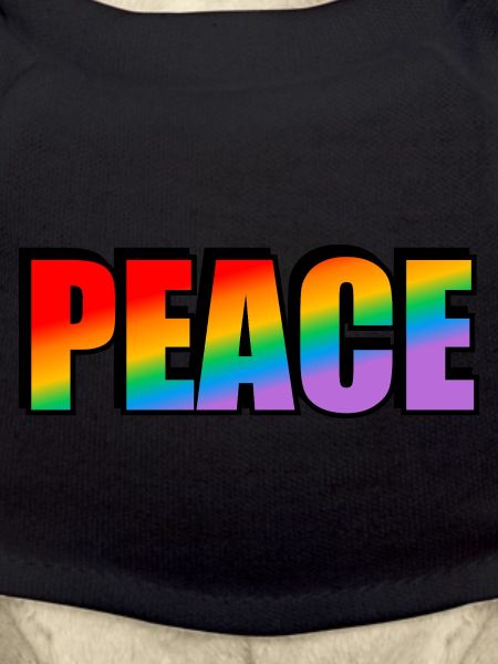Friedens-Regenbogen